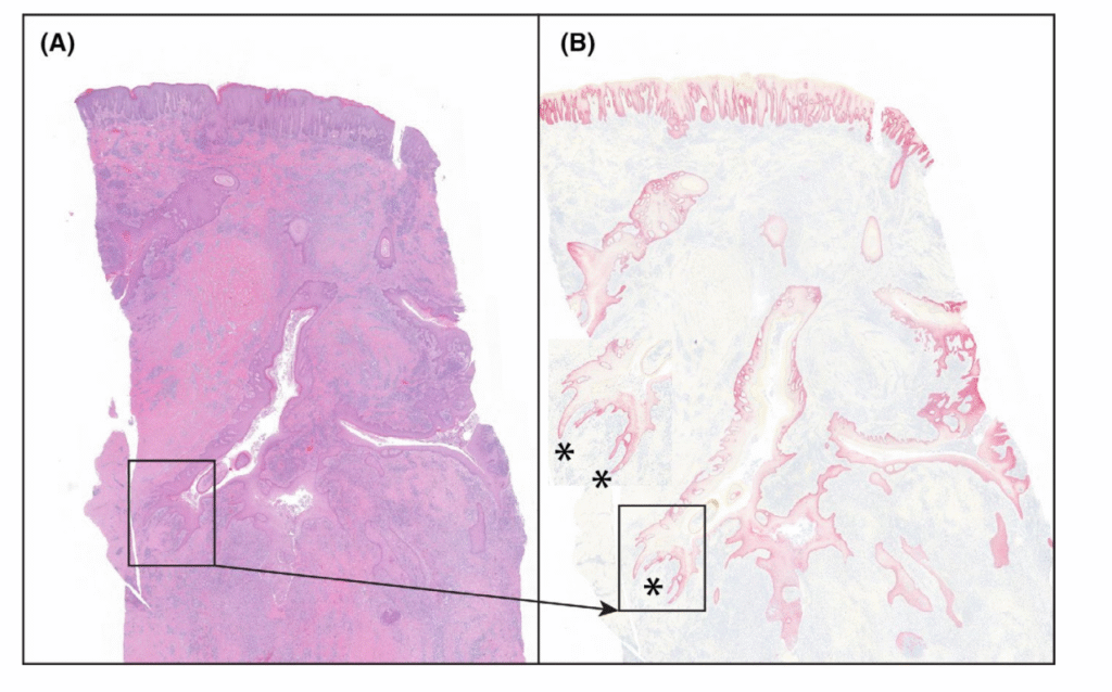 dustan 2020 figure 3