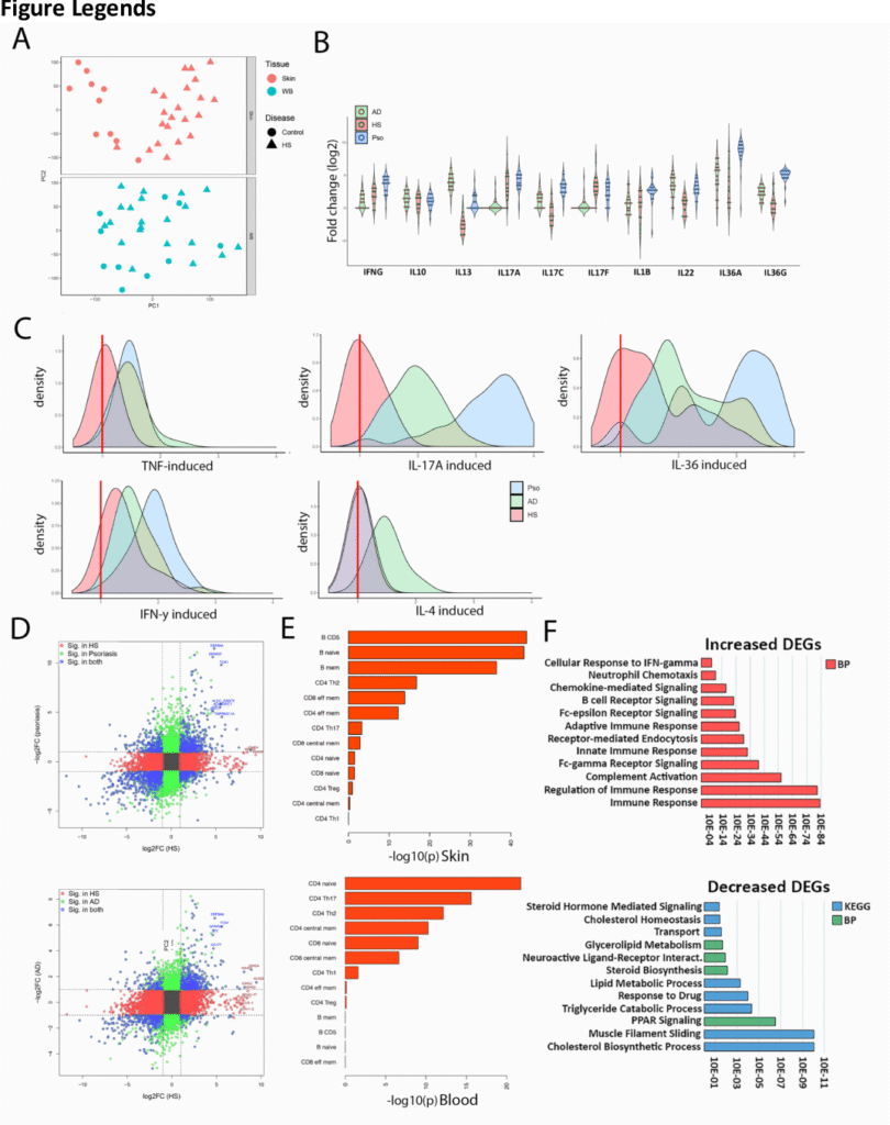 From Lab to Life: How B-Cell Research Validates a Natural Approach to Hidradenitis Suppurativa f 1
