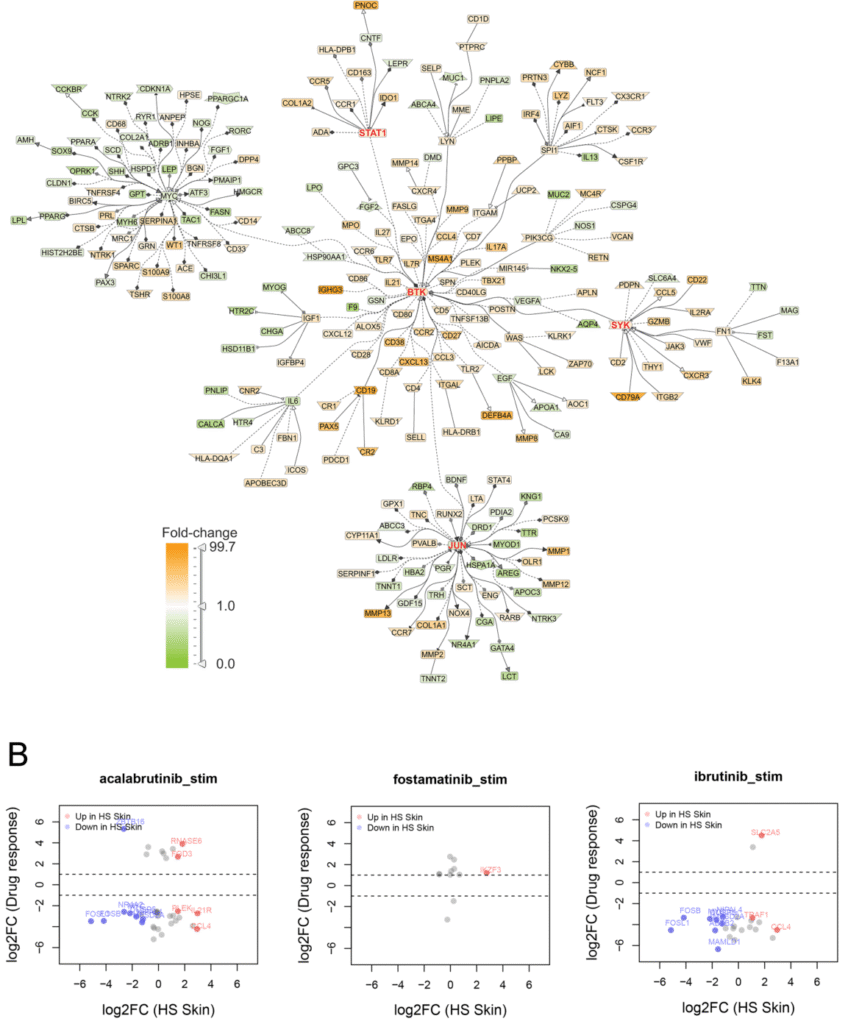 From Lab to Life: How B-Cell Research Validates a Natural Approach to Hidradenitis Suppurativa f 9