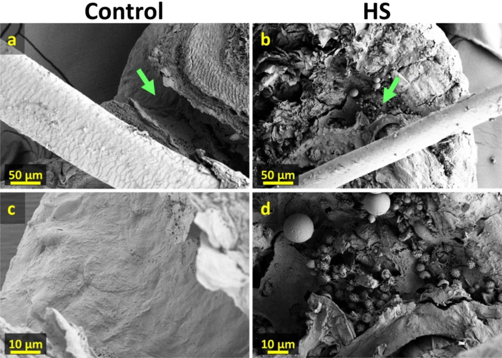figure5