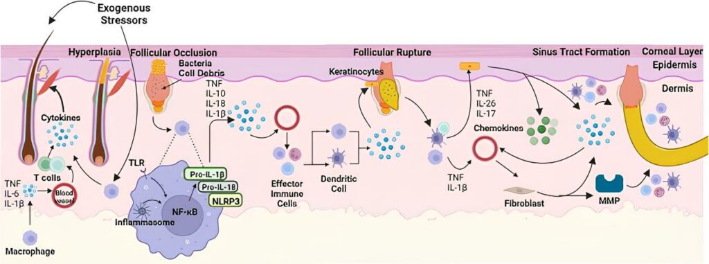 fig 1(1)