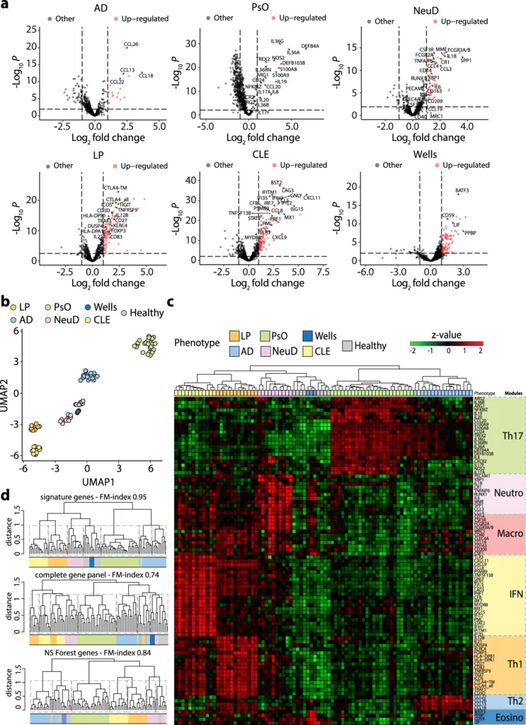 Hidradenitis Suppurativa & Your "Immune Fingerprint": New Science Reveals Why Treatments Fail and How to Truly Heal figure one