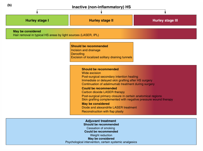 how to treat HS? A Critique on the Official 2025 Doctor's Playbook screenshot 2025 09 19 190353