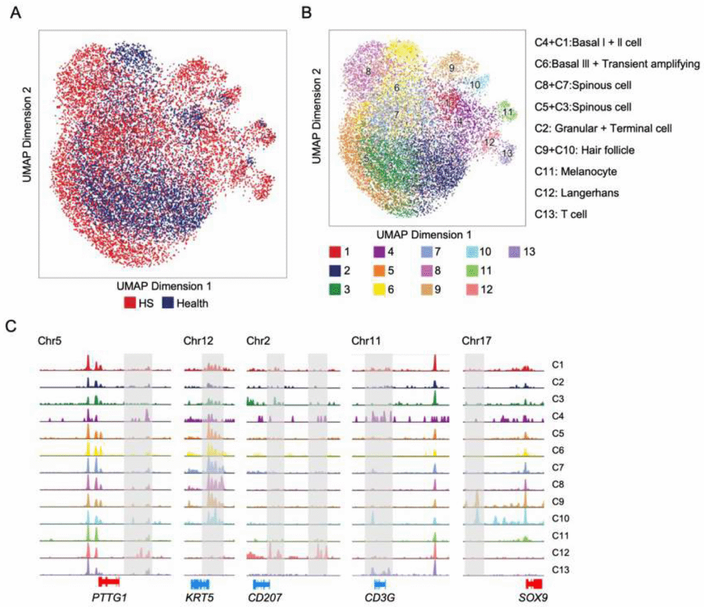 How to Treat Hidradenitis Suppurativa: Understanding Your Skin's Epigenetic Switches with New Research biomedicines 13 01599 g003