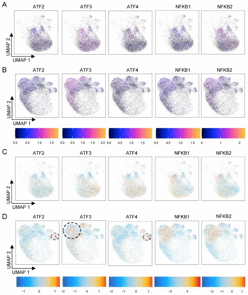 How to Treat Hidradenitis Suppurativa: Understanding Your Skin's Epigenetic Switches with New Research biomedicines 13 01599 g004