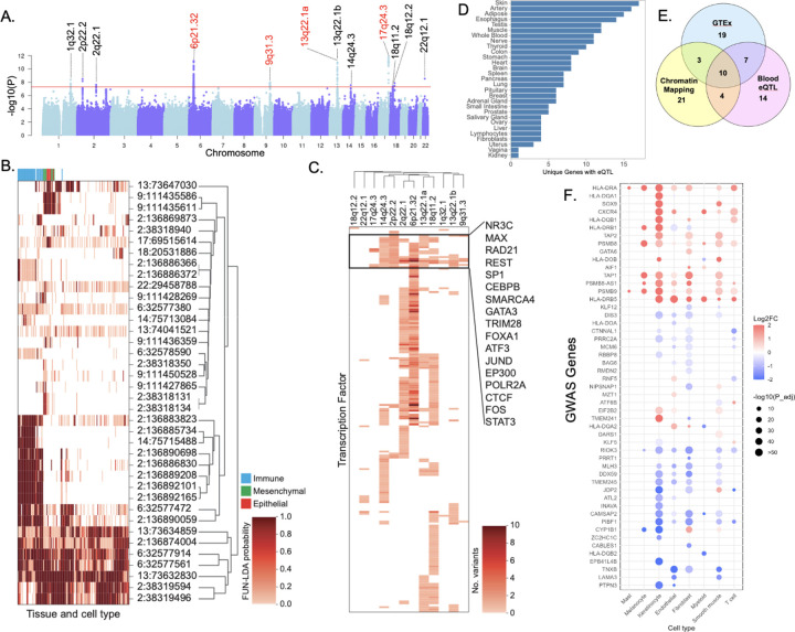 Beyond the Surface: New Genetic Clues Reveal How to Truly Treat Hidradenitis Suppurativa nihpp 2025.07.25.25332168v1 f0001