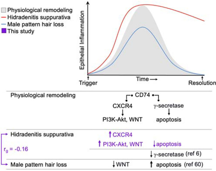 Beyond the Surface: New Genetic Clues Reveal How to Truly Treat Hidradenitis Suppurativa nihpp 2025.07.25.25332168v1 f0005