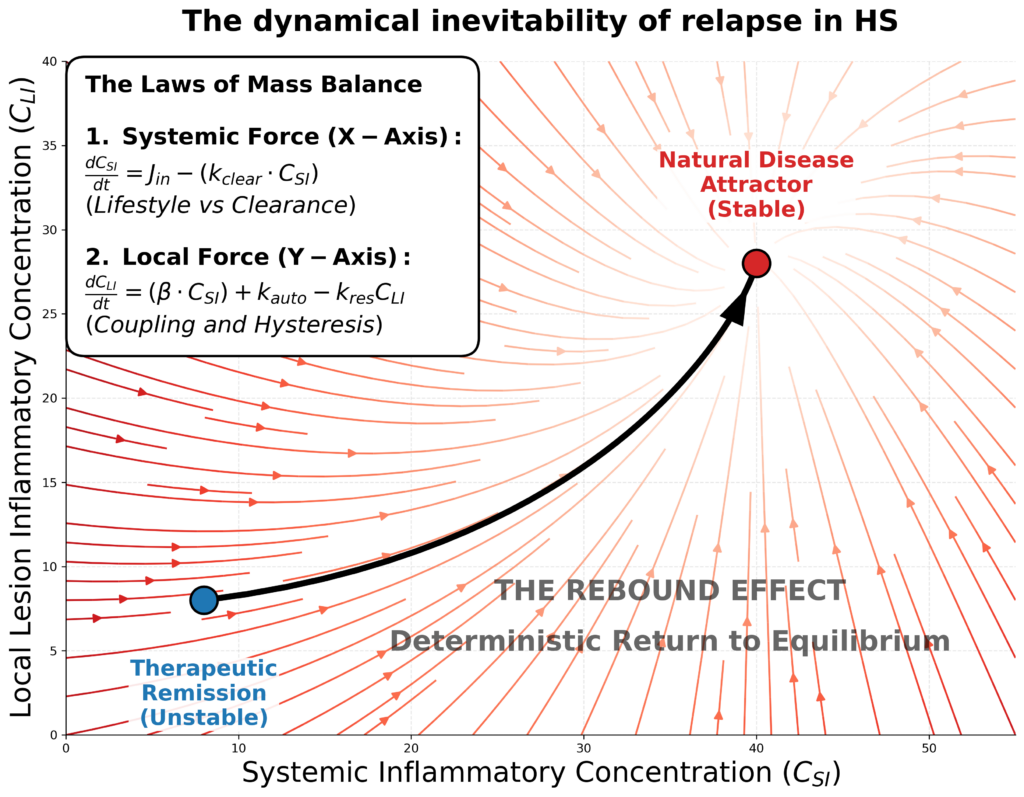 hs graphical abstract final v9